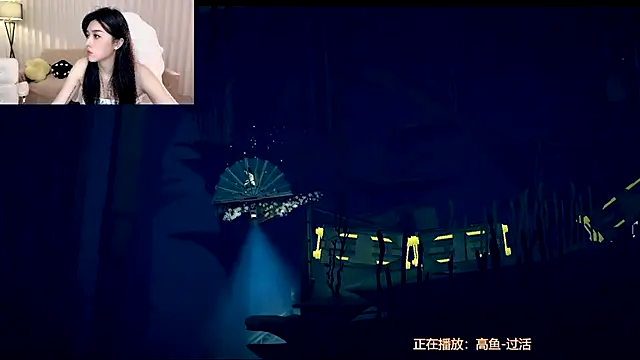 Canbaobao-KK webcam