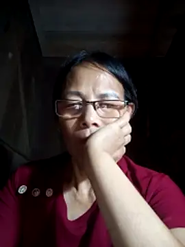 toyo_668 webcam