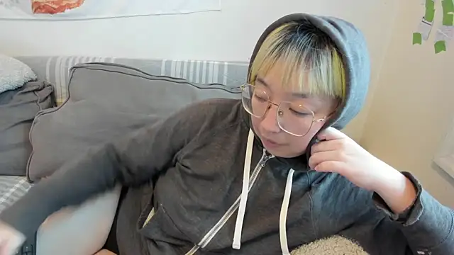 luxgray webcam