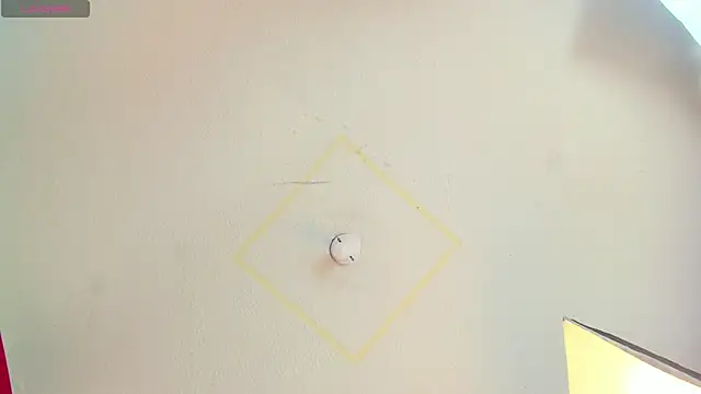 wandaliones webcam