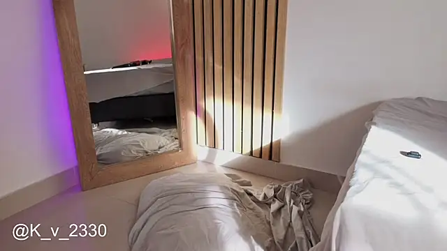 sofiesoft webcam