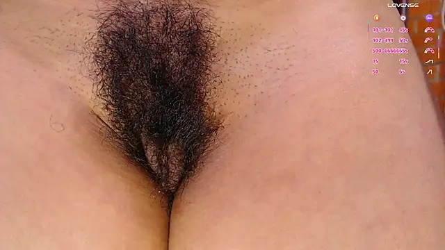 Salome-sw webcam