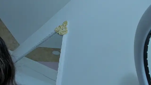 PandoraRider webcam