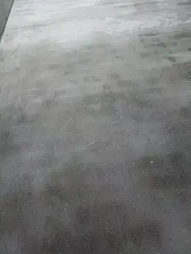 Sgs594802799 webcam