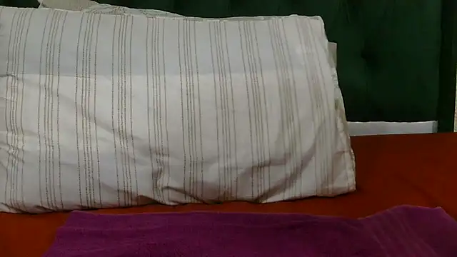 AicoBlackass_4 webcam