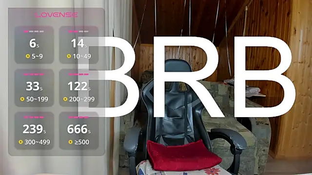 ScanDarky webcam