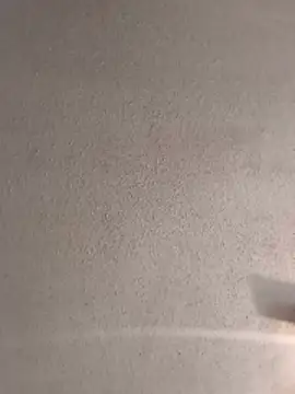 bojo69 webcam