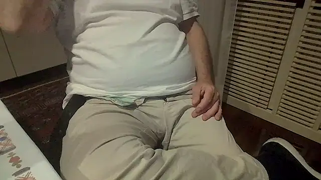 polloiw webcam