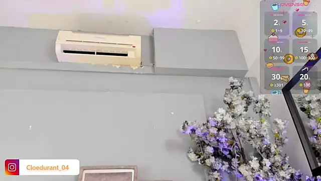 Cloedurant webcam