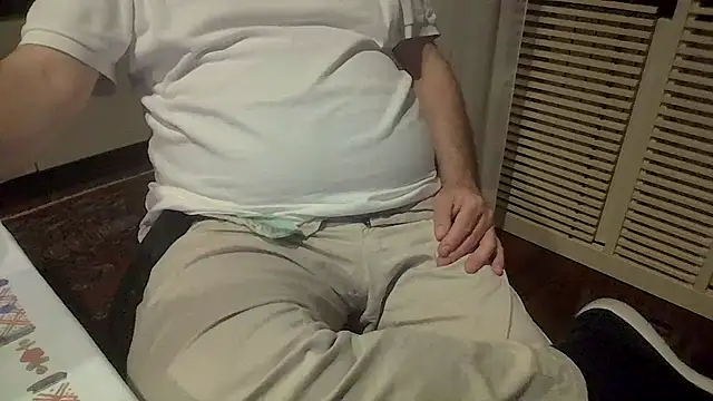 polloiw webcam