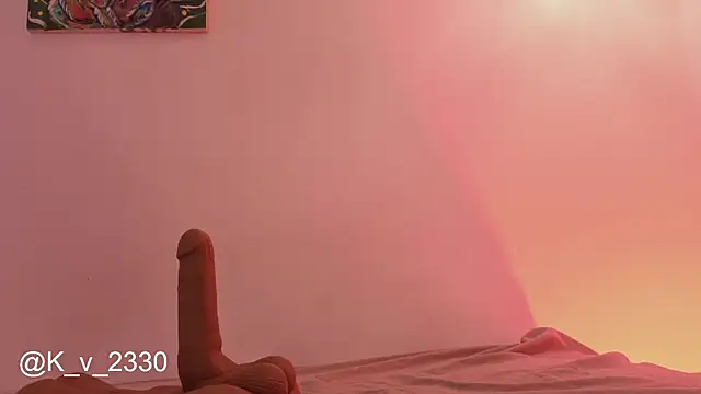 sofiesoft webcam