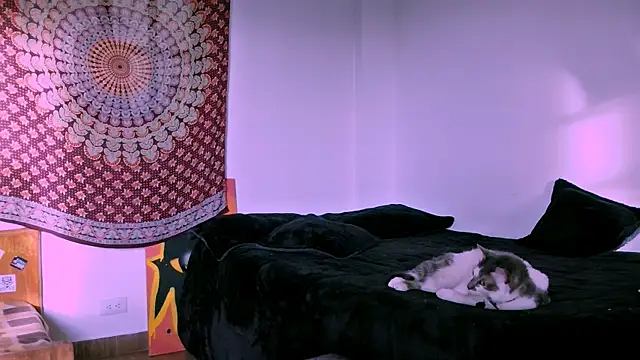 alex_one888 webcam