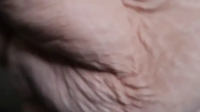 BellaBlueBBW webcam