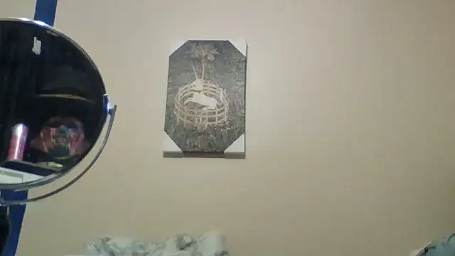 hailzeffn webcam