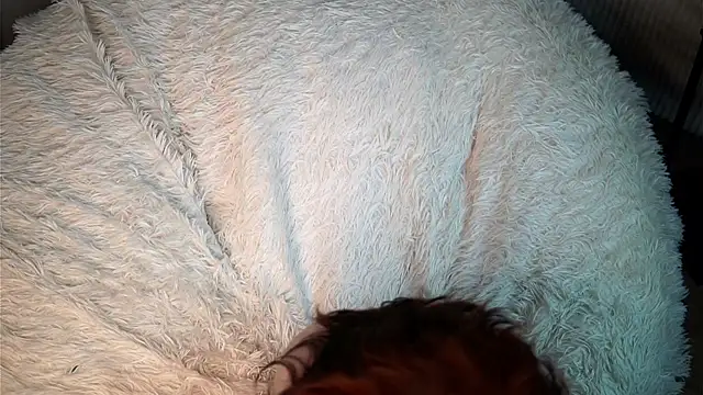 TemikaAltvater webcam