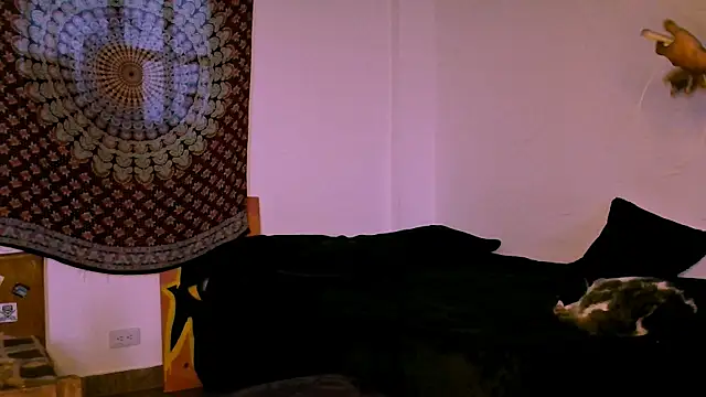 alex_one888 webcam