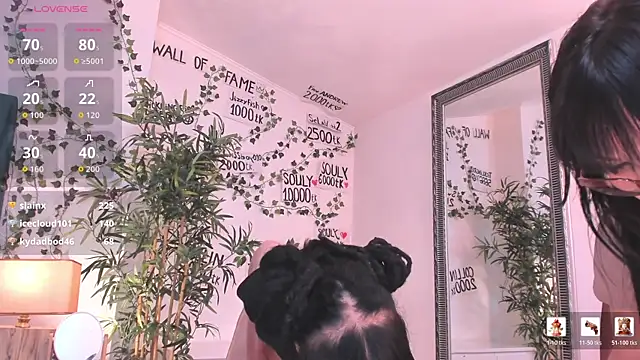 mira0_0 webcam