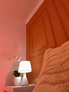 Veravantemp webcam