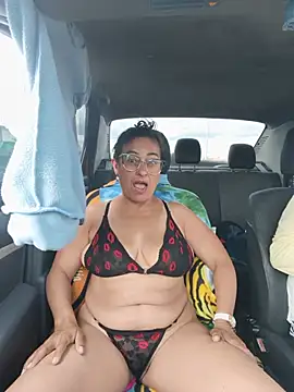 Aurora_levi webcam