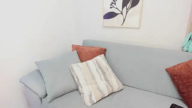 KassMonroe webcam