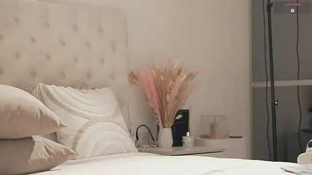 BestExtreme webcam