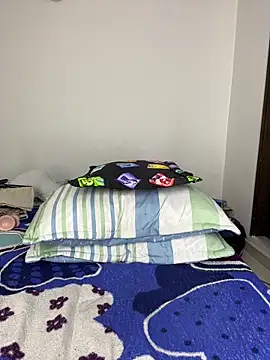 sandylau webcam