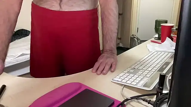 coach-karl webcam