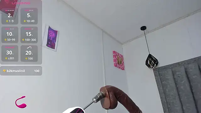 Liam_ruse webcam
