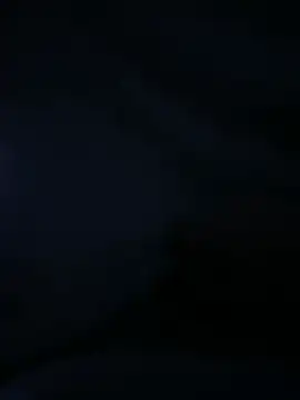 itsskekkoo webcam