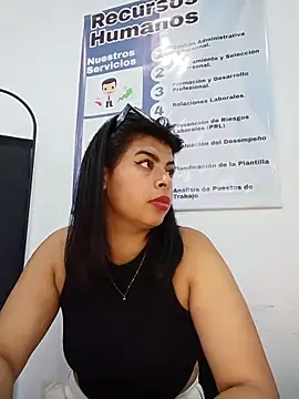 SOFIA-11_ webcam