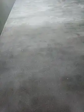 Sgs594802799 webcam