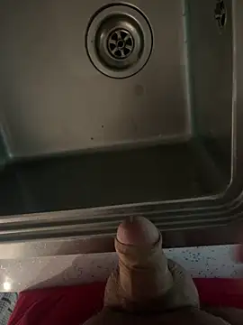 BobKat webcam
