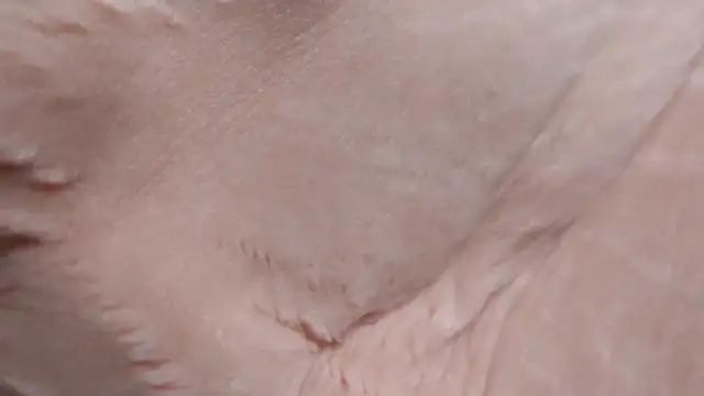 BellaBlueBBW webcam