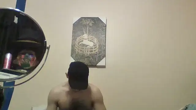 hailzeffn webcam