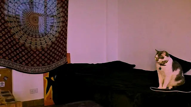 alex_one888 webcam