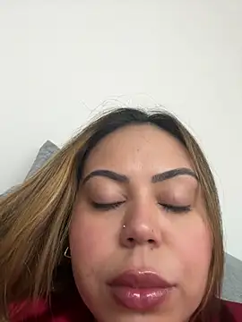 lariic webcam
