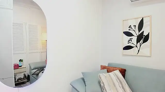 KassMonroe webcam