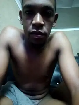 Lalankml webcam