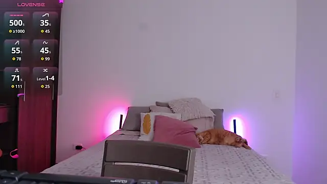sofix__ webcam