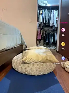 Belkaj webcam