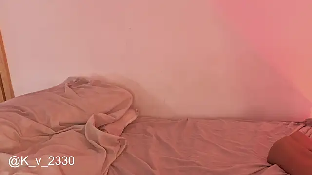 sofiesoft webcam