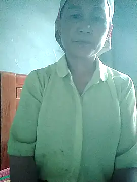 phlin1 webcam