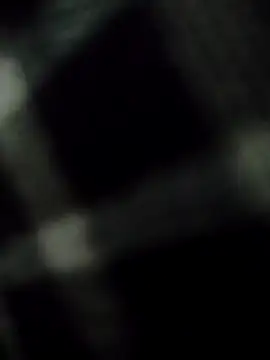 Wet_BunnyFun webcam