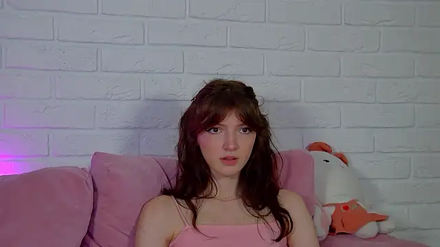 SophiaProve webcam