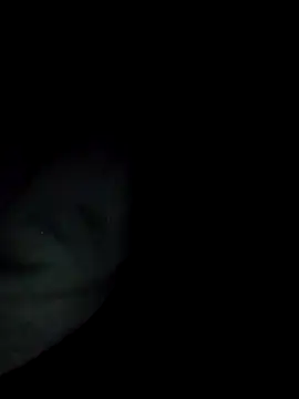 Kandi-kiss webcam