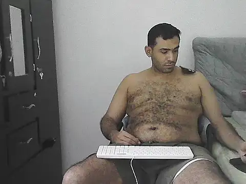 IronSideBear webcam