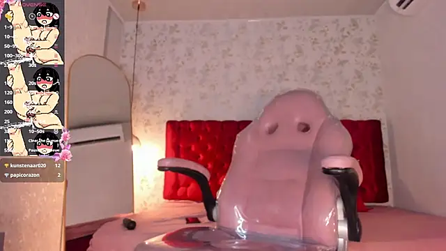camii_raux webcam