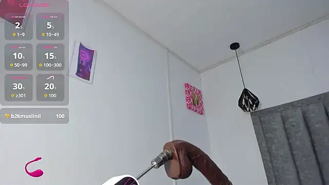 Liam_ruse webcam