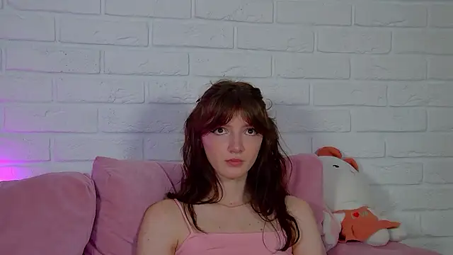 SophiaProve webcam