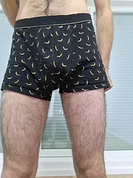 FrameBoy webcam